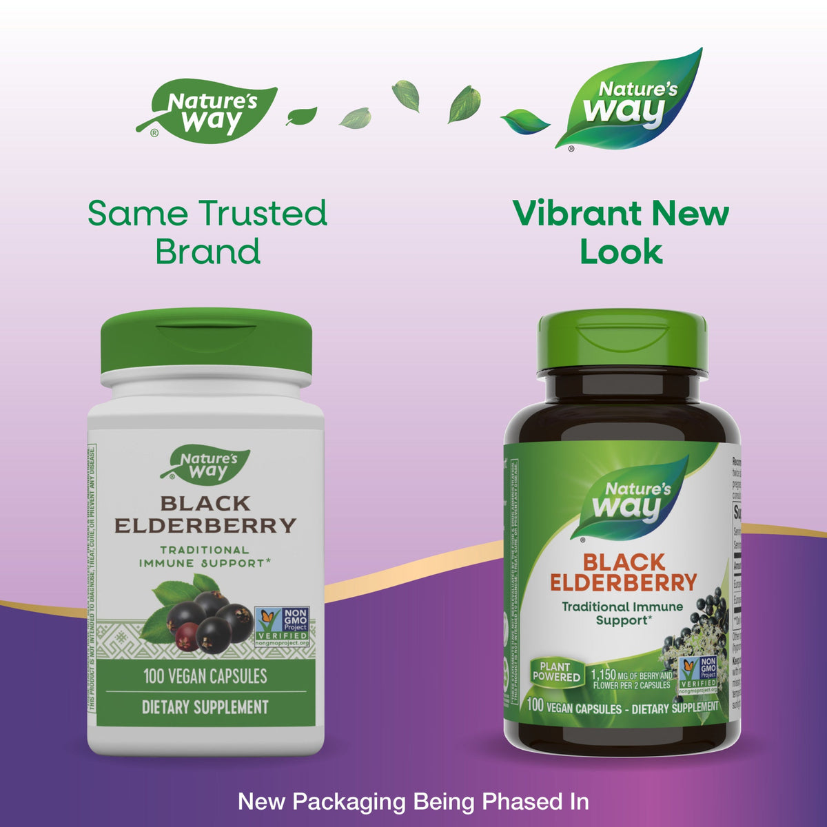 Everyday Home Black Elderberry - For Traditional Immune Support for daily home and personal routines with general everyday essentials