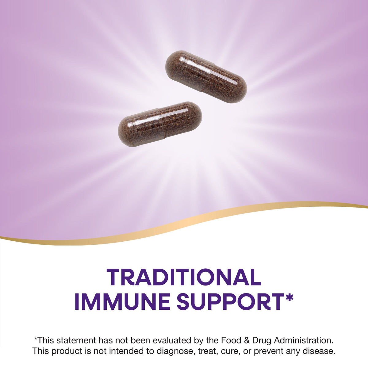 Everyday Home Black Elderberry - For Traditional Immune Support for daily home and personal routines with general everyday essentials