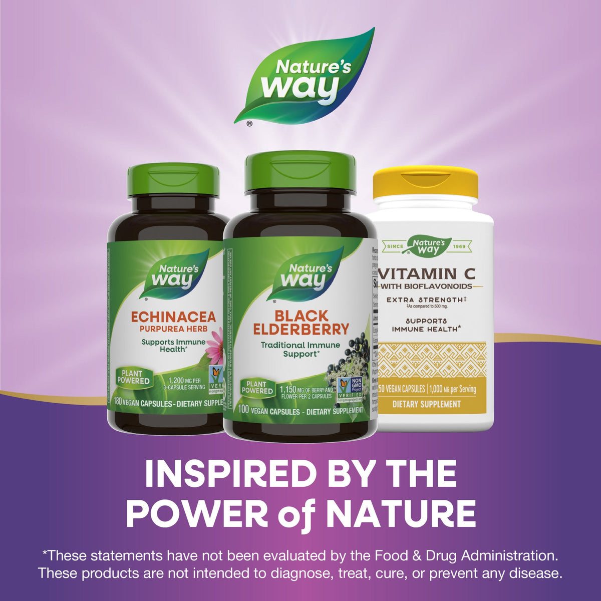Everyday Home Black Elderberry - For Traditional Immune Support for daily home and personal routines with general everyday essentials