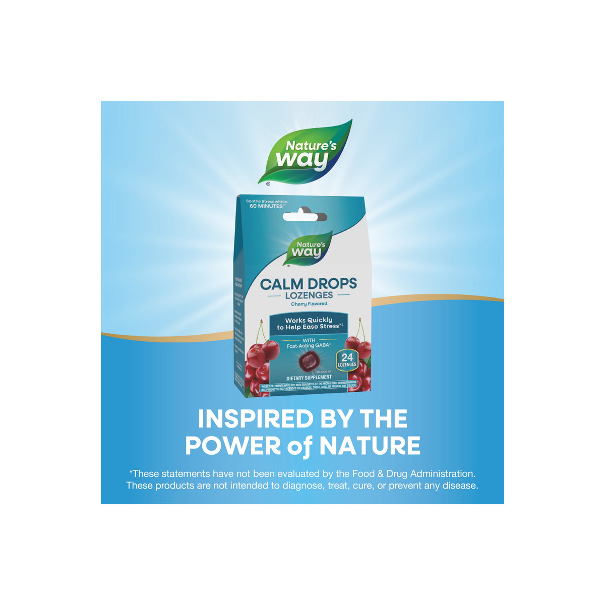 Practical Living Calm Drops Lozenges for daily home and personal routines with general everyday essentials