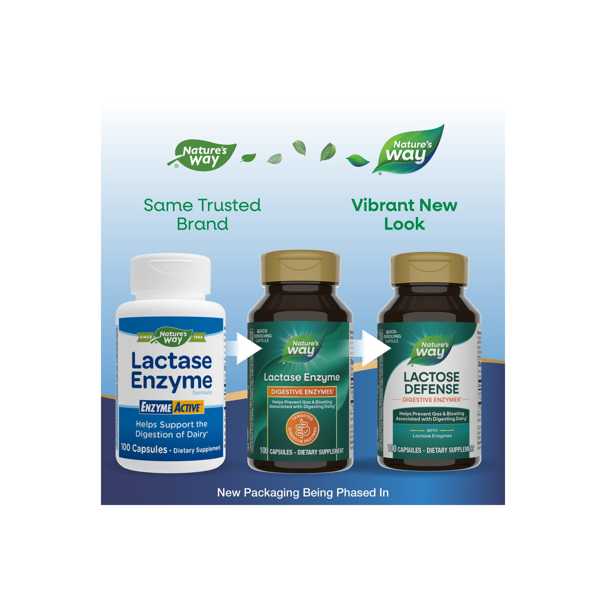 Everyday Home Lactose Defense Digestive Enzymes for daily home and personal routines with general everyday essentials