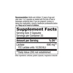 Everyday Home Lactose Defense Digestive Enzymes for daily home and personal routines with general everyday essentials