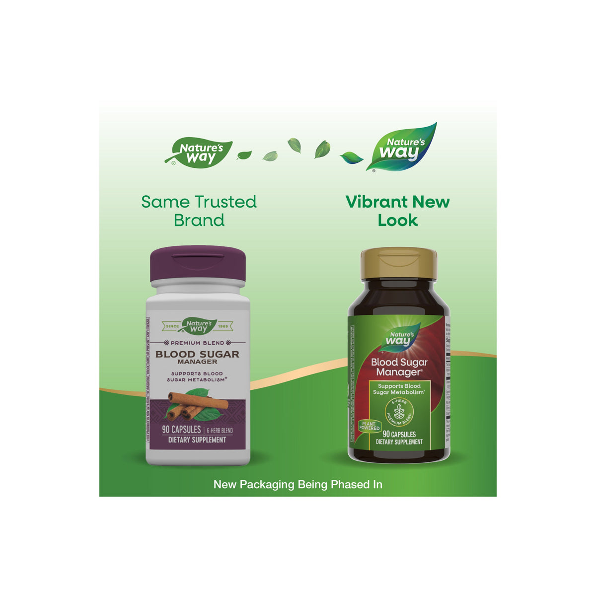 Daily Care Blood Sugar Manager for daily home and personal routines with general everyday essentials