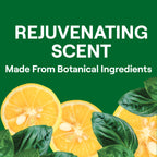 Home Essentials Dish Soap for daily home and personal routines with cleaning laundry and paper products