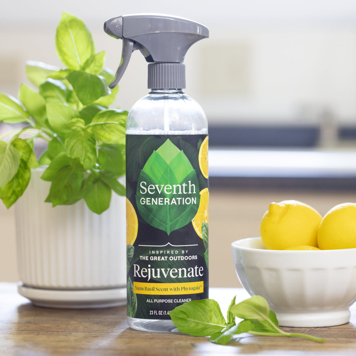 Home Essentials All Purpose Cleaner for daily home and personal routines with cleaning laundry and paper products