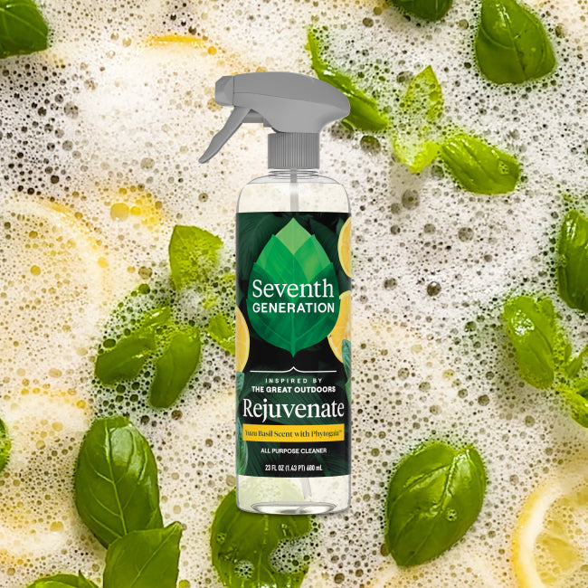 Home Essentials All Purpose Cleaner for daily home and personal routines with cleaning laundry and paper products