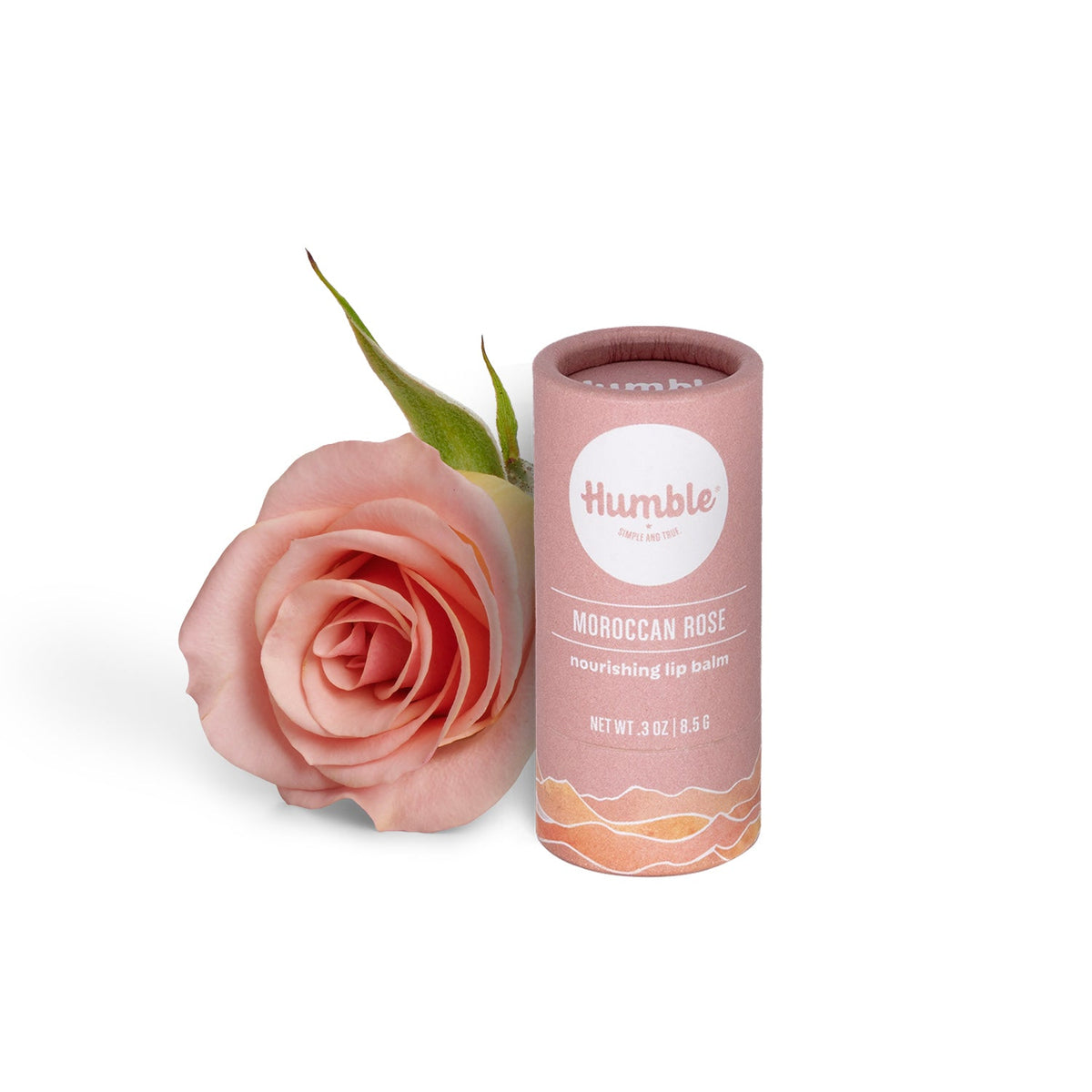 Everyday Home Lip Balm - Paperboard for daily home and personal routines with facial skin and sun care