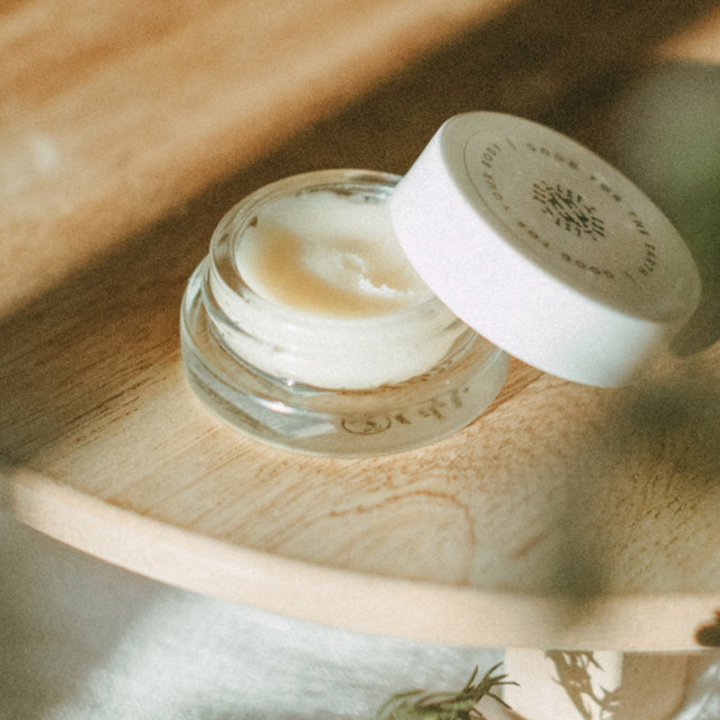 Practical Living Honey Lip Treatment for daily home and personal routines with general everyday essentials