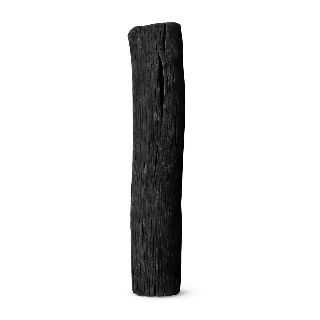Practical Living Active Charcoal Water Filter for daily home and personal routines with general everyday essentials