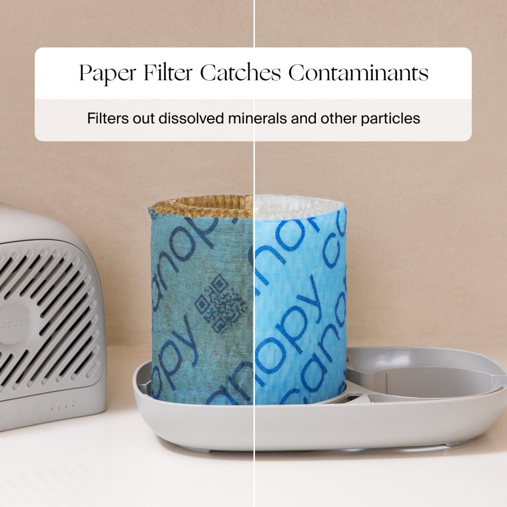 Home Essentials Bedside Humidifier Filter 2.0, 2 Pack for daily home and personal routines with general everyday essentials