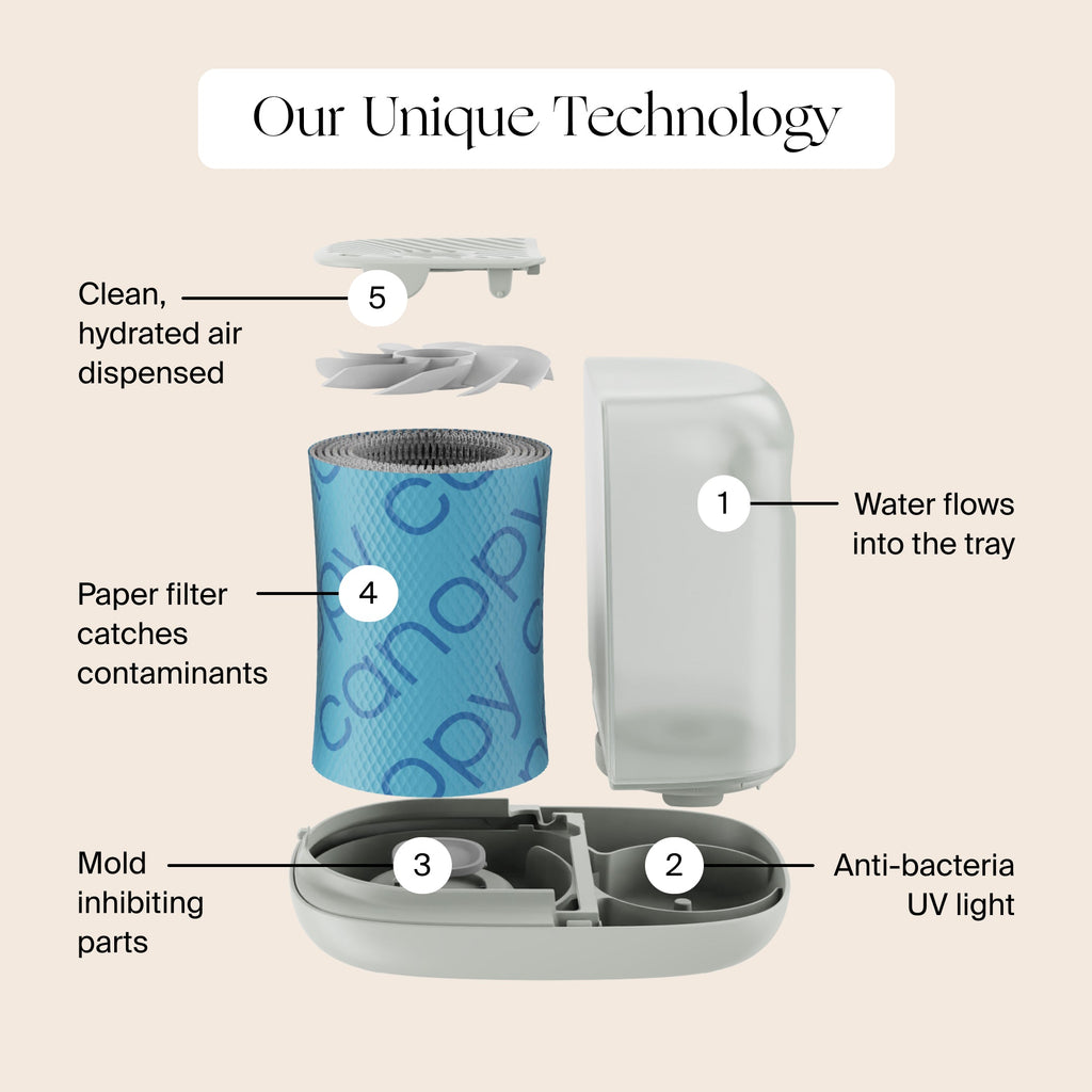 Daily Care 2.0 Bedside Humidifier with Filter for daily home and personal routines with general everyday essentials