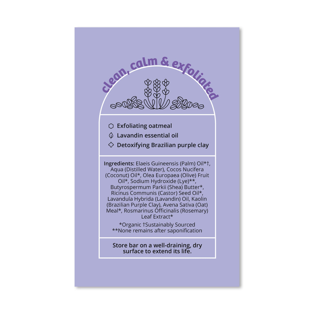 Home Essentials Exfoliating Body Bar Soap - Purple Rain for daily home and personal routines with bath body and hygiene
