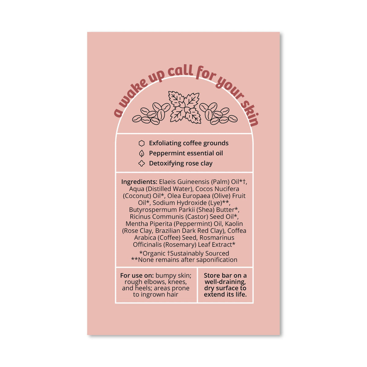 Routine Ready Exfoliating Body Bar Soap - Rise and Grind for daily home and personal routines with bath body and hygiene