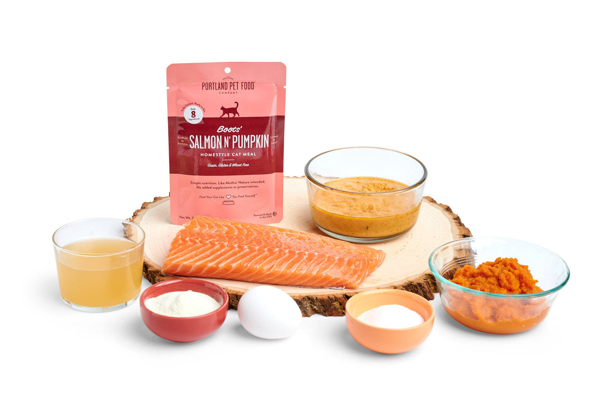 Practical Living Boots Salmon N Pumpkin Human-Grade Cat Meal, Mixer or Meal Topper, 2.6 oz Pouch - Single for daily home and personal routines with pet care treats and accessories