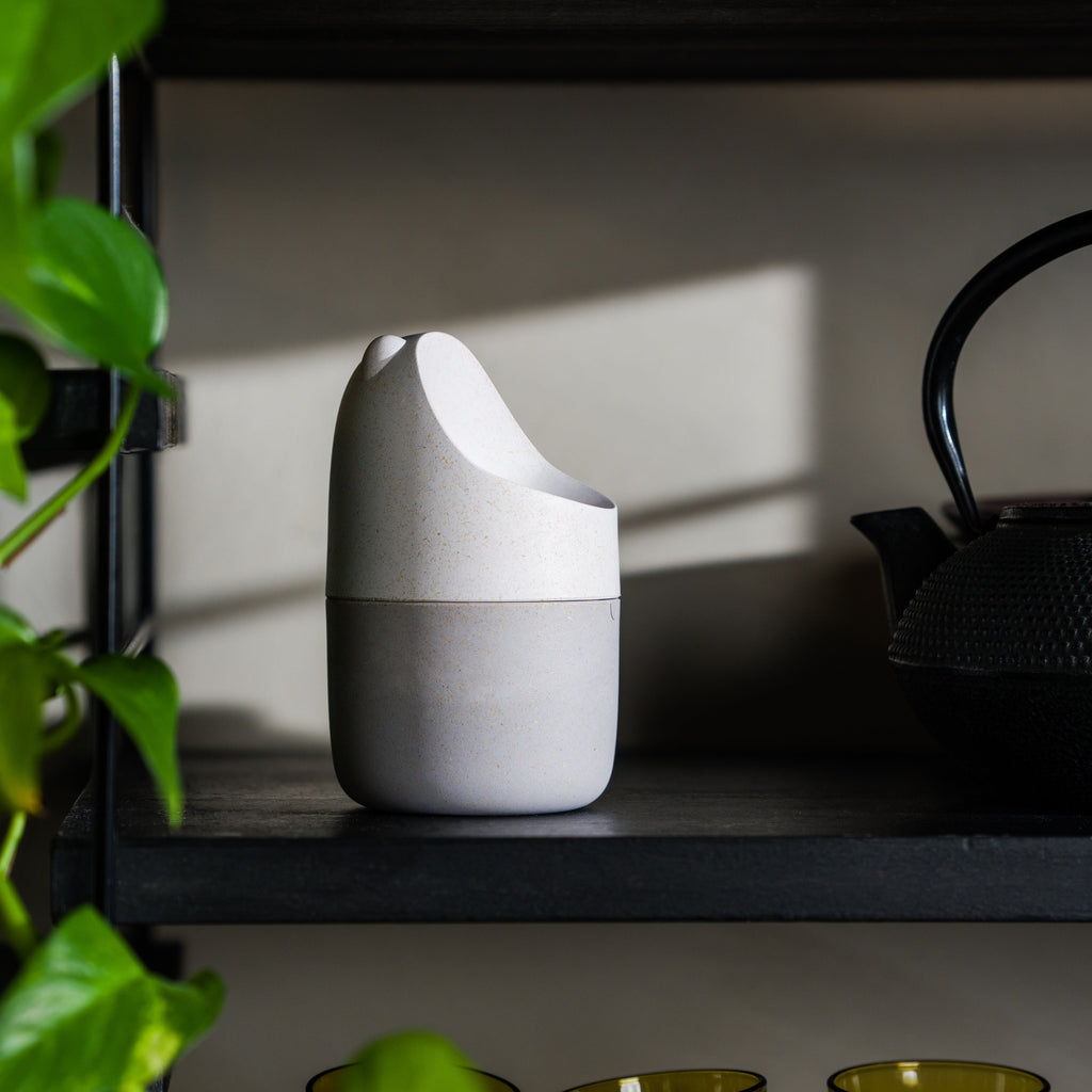 Home Essentials Konna Fly Trap for daily home and personal routines with general everyday essentials