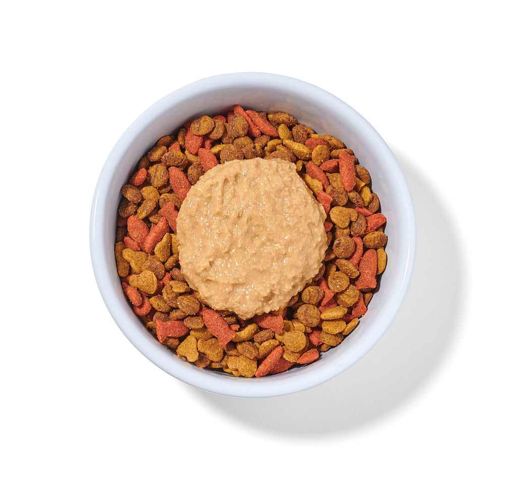 Practical Living Boots Salmon N Pumpkin Human-Grade Cat Meal, Mixer or Meal Topper, 2.6 oz Pouch - Single for daily home and personal routines with pet care treats and accessories