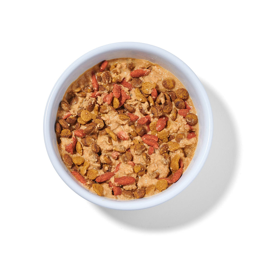 Practical Living Boots Salmon N Pumpkin Human-Grade Cat Meal, Mixer or Meal Topper, 2.6 oz Pouch - Single for daily home and personal routines with pet care treats and accessories