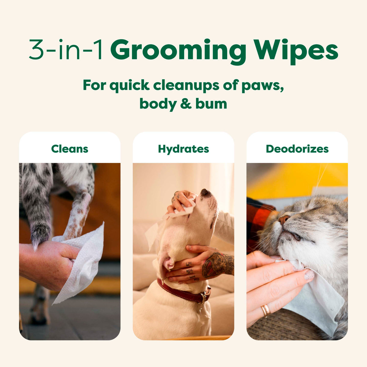 Everyday Home Dog Grooming Wipes Extra Thick, White Tea Basil Scented for daily home and personal routines with pet care treats and accessories