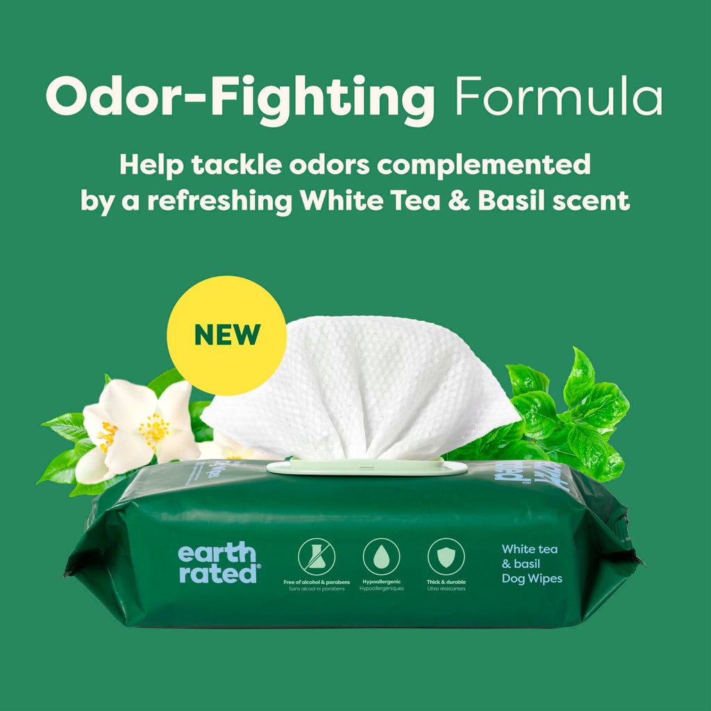 Everyday Home Dog Grooming Wipes Extra Thick, White Tea Basil Scented for daily home and personal routines with pet care treats and accessories