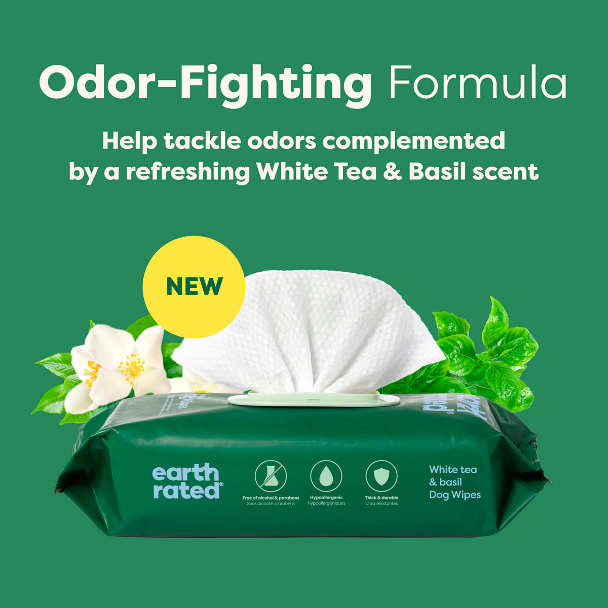 Everyday Home Dog Grooming Wipes Extra Thick, White Tea Basil Scented for daily home and personal routines with pet care treats and accessories
