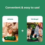 Everyday Home Dog Grooming Wipes Extra Thick, White Tea Basil Scented for daily home and personal routines with pet care treats and accessories