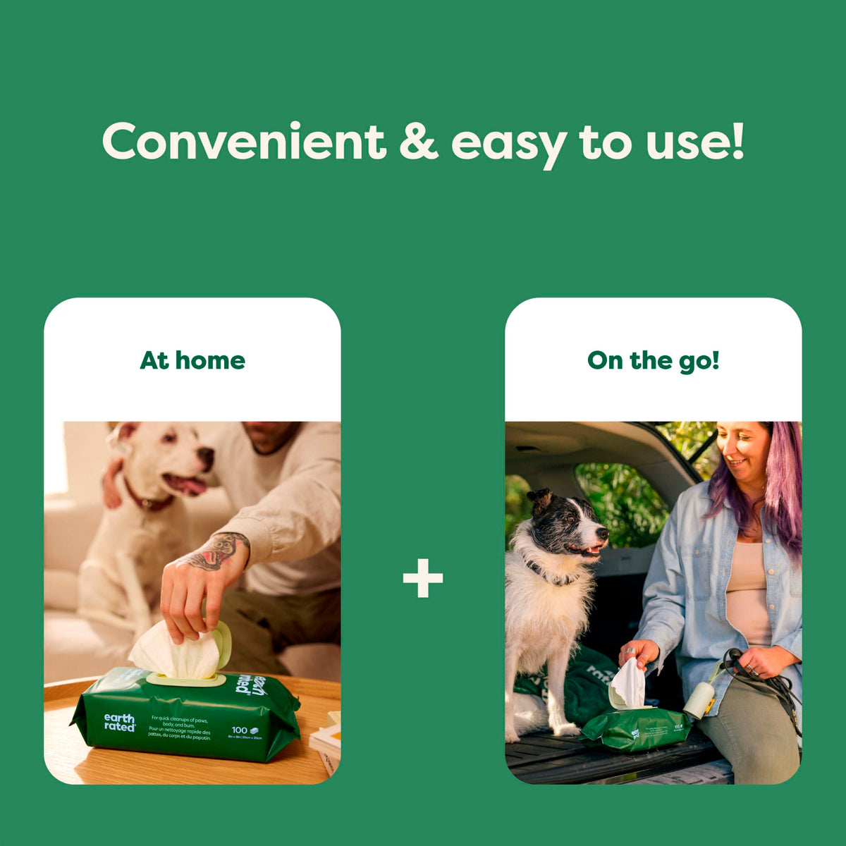 Everyday Home Dog Grooming Wipes Extra Thick, White Tea Basil Scented for daily home and personal routines with pet care treats and accessories