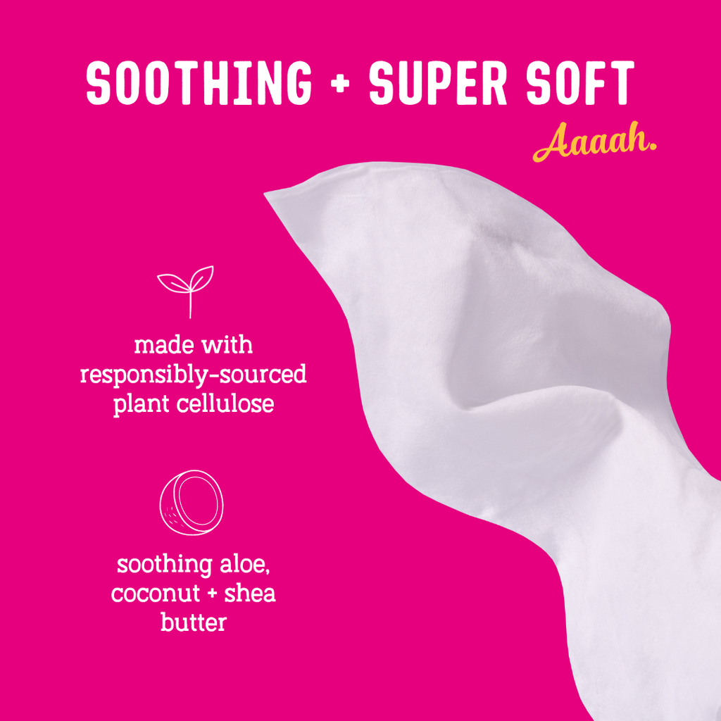 Practical Living FLO Get Fresh Body + Intimate Wipes for daily home and personal routines with general everyday essentials