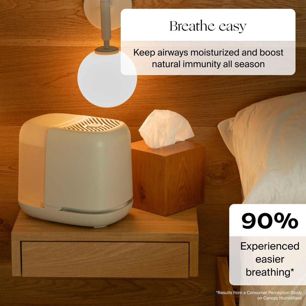 Daily Care 2.0 Bedside Humidifier with Filter for daily home and personal routines with general everyday essentials