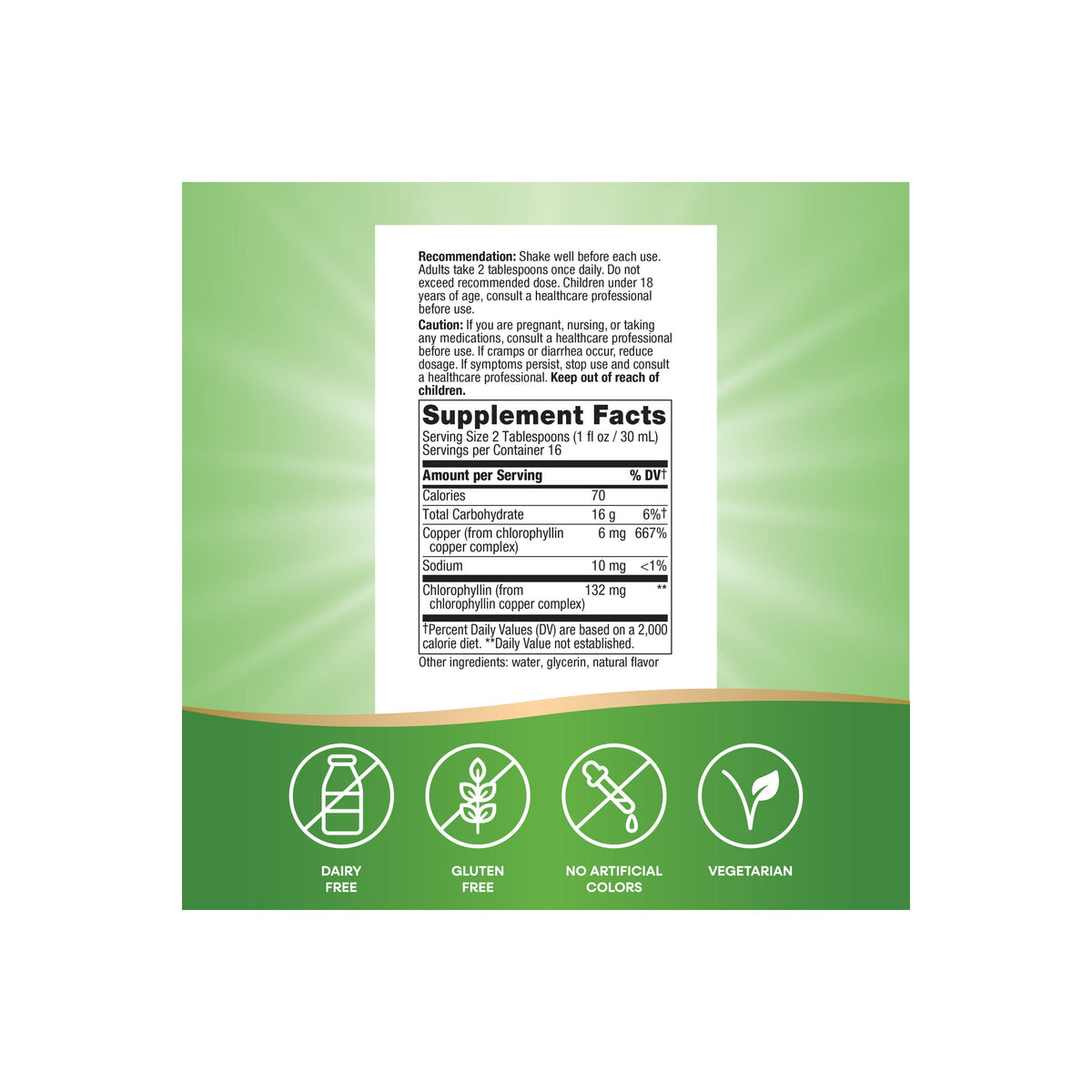 Home Essentials Chlorofresh Liquid Chlorophyll for daily home and personal routines with general everyday essentials