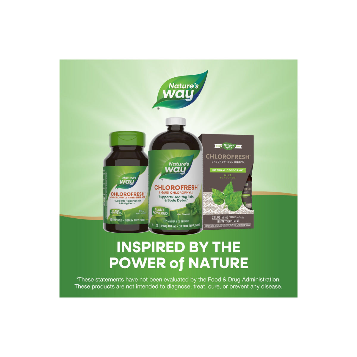 Home Essentials Chlorofresh Liquid Chlorophyll for daily home and personal routines with general everyday essentials