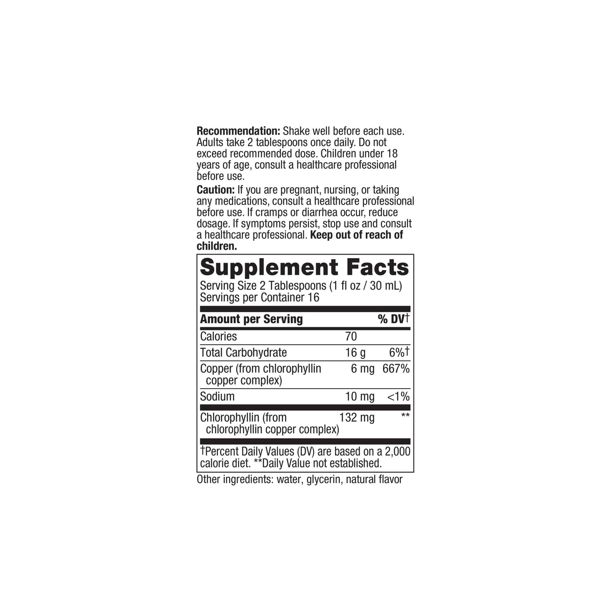 Home Essentials Chlorofresh Liquid Chlorophyll for daily home and personal routines with general everyday essentials