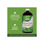 Home Essentials Chlorofresh Liquid Chlorophyll for daily home and personal routines with general everyday essentials