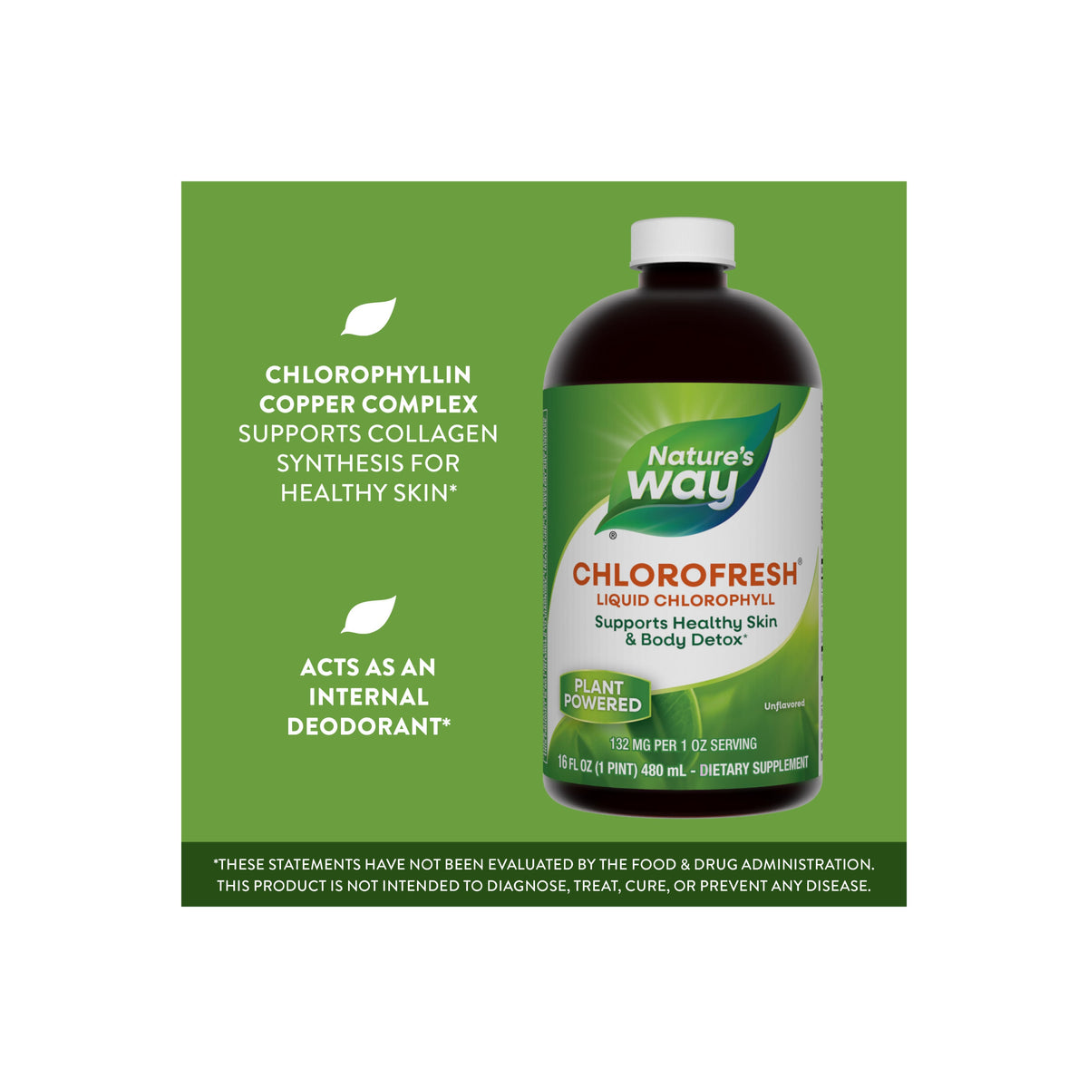 Home Essentials Chlorofresh Liquid Chlorophyll for daily home and personal routines with general everyday essentials
