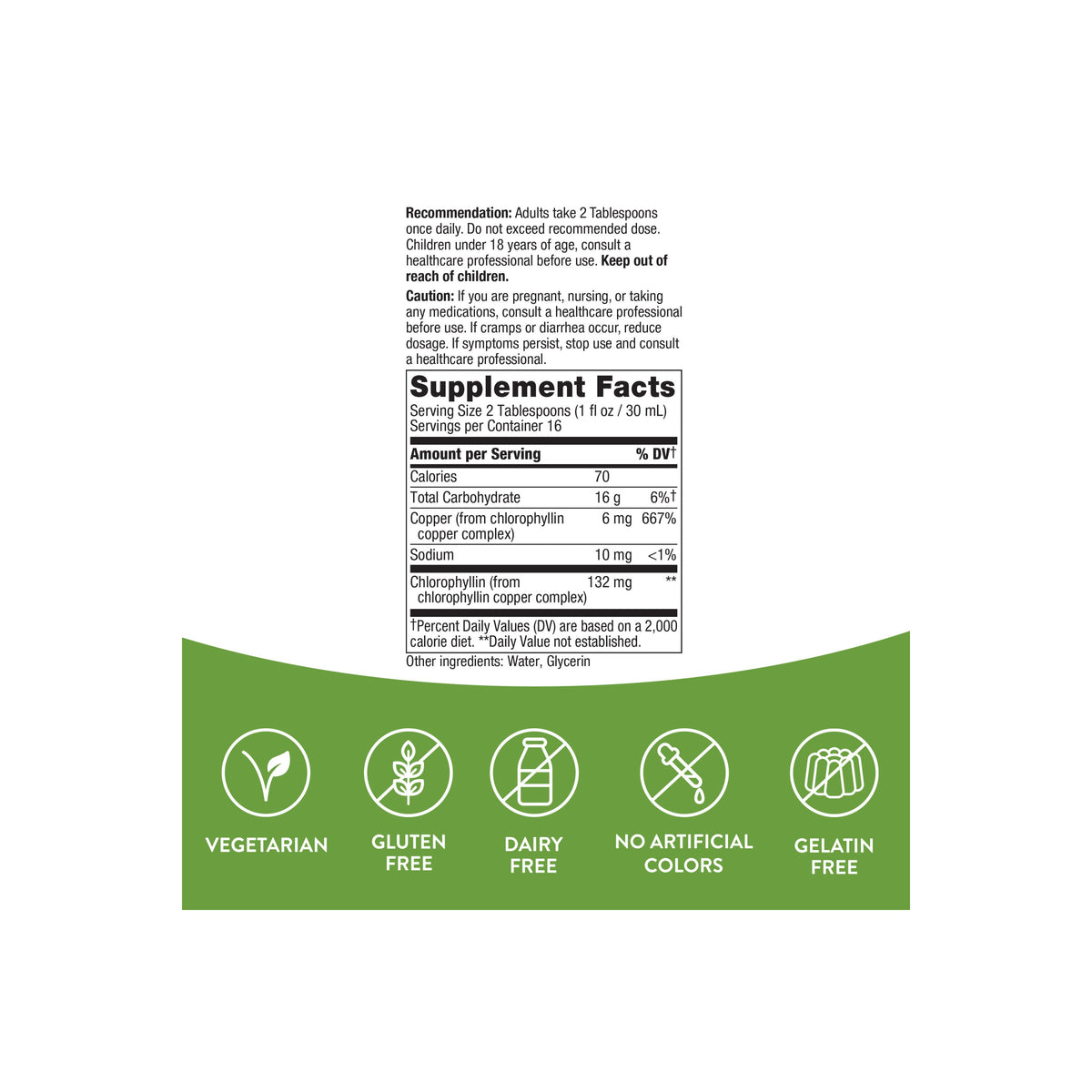 Home Essentials Chlorofresh Liquid Chlorophyll for daily home and personal routines with general everyday essentials