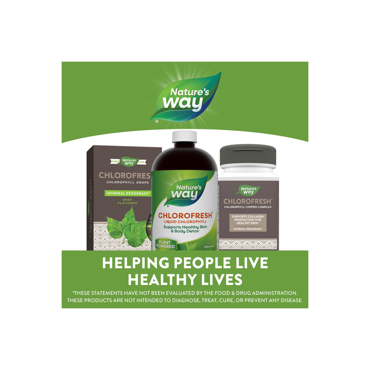 Home Essentials Chlorofresh Liquid Chlorophyll for daily home and personal routines with general everyday essentials