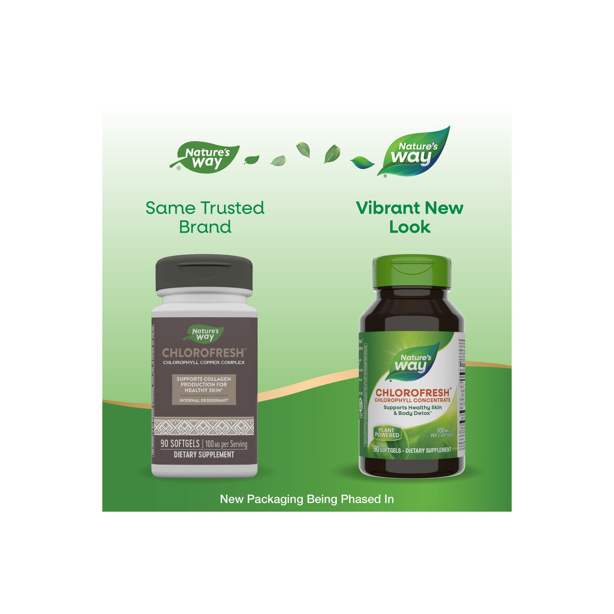 Practical Living Chlorofresh Chlorophyll Concentrate for daily home and personal routines with general everyday essentials
