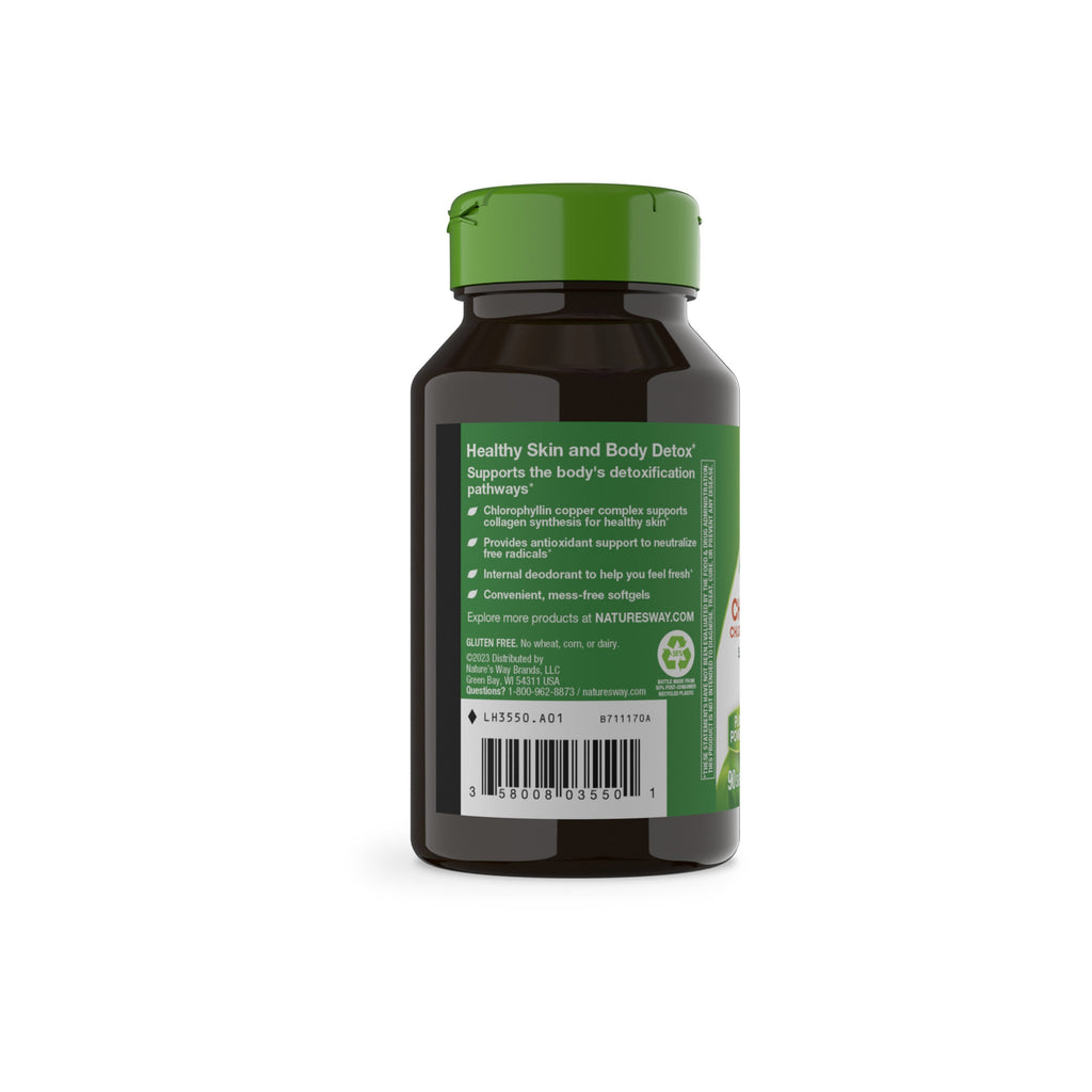 Practical Living Chlorofresh Chlorophyll Concentrate for daily home and personal routines with general everyday essentials