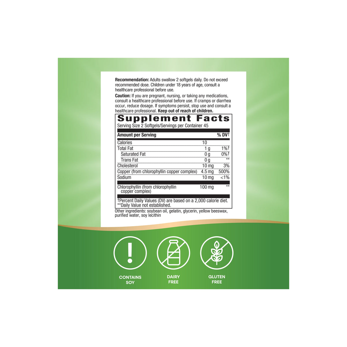 Practical Living Chlorofresh Chlorophyll Concentrate for daily home and personal routines with general everyday essentials