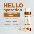 Routine Ready Coconut and Shea Deep Moisture Shampoo for daily home and personal routines with hair care