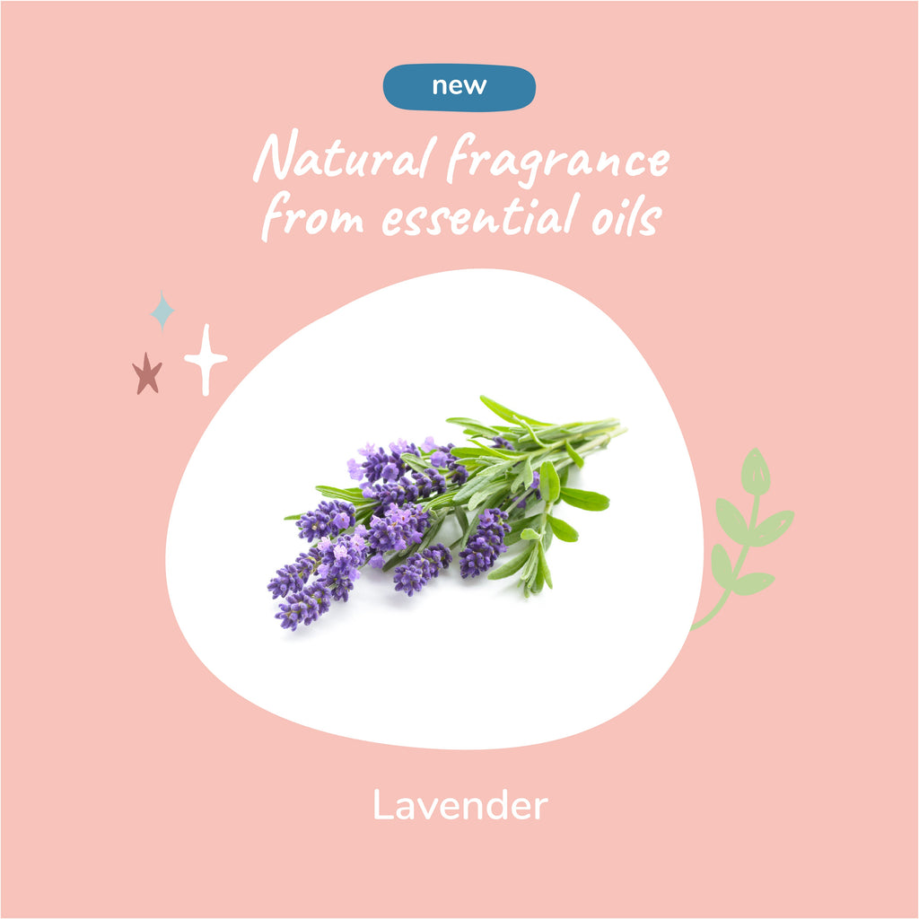 Everyday Home Lavender Natural Coat Spray for Dog and Cat for daily home and personal routines with pet care treats and accessories
