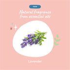 Everyday Home Lavender Natural Coat Spray for Dog and Cat for daily home and personal routines with pet care treats and accessories