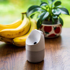 Home Essentials Konna Fly Trap for daily home and personal routines with general everyday essentials