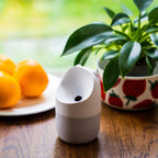 Home Essentials Konna Fly Trap for daily home and personal routines with general everyday essentials
