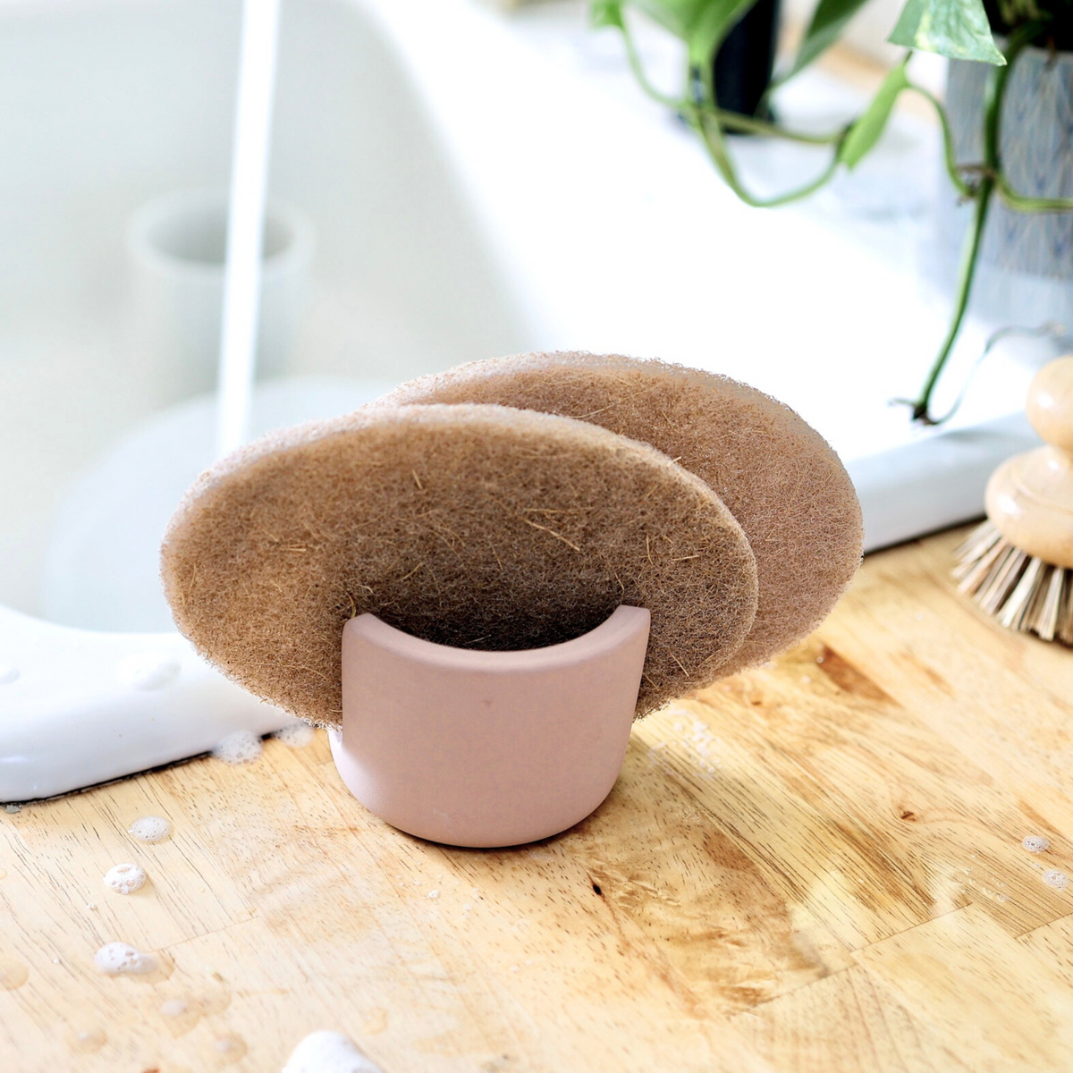 Everyday Home Coconut Coir Dish Scrub for daily home and personal routines with cleaning laundry and paper products
