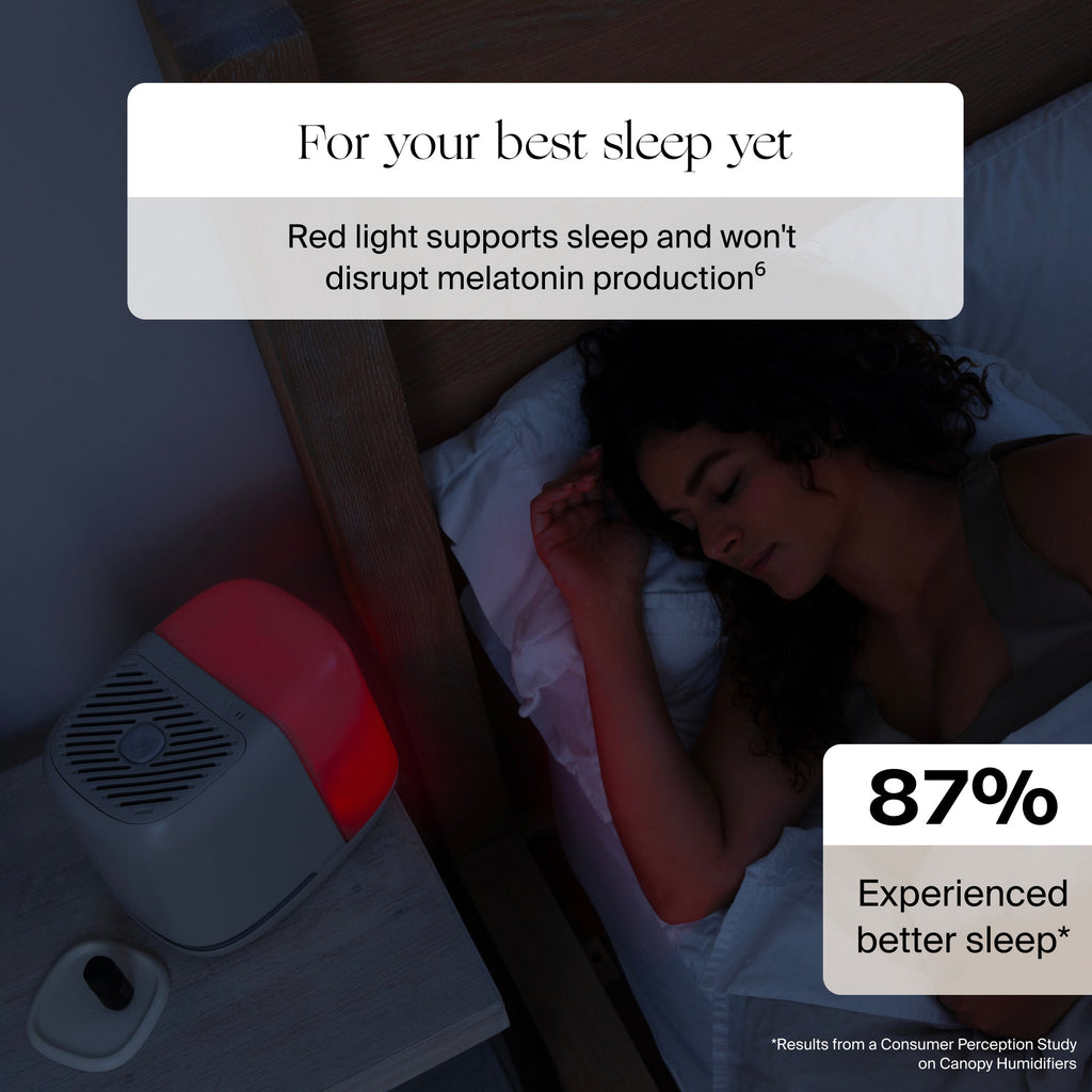 Daily Care 2.0 Bedside Humidifier with Filter for daily home and personal routines with general everyday essentials