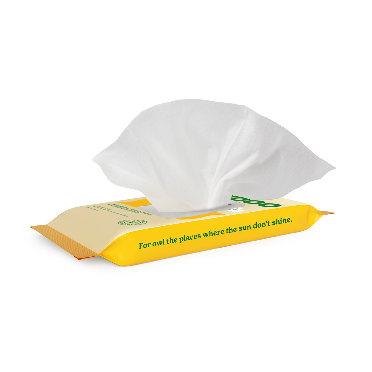 Routine Ready Flushable Wipes - Sample for daily home and personal routines with bath body and hygiene