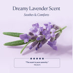 Routine Ready Dream Night Cream with Bio-Retinol for daily home and personal routines with facial skin and sun care