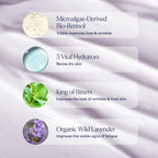 Routine Ready Dream Night Cream with Bio-Retinol for daily home and personal routines with facial skin and sun care