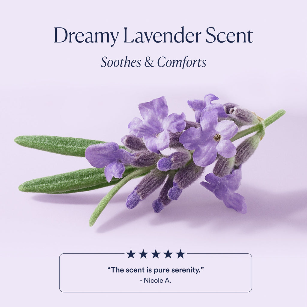 Everyday Home Dream Night Serum for daily home and personal routines with facial skin and sun care