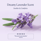 Everyday Home Dream Night Serum for daily home and personal routines with facial skin and sun care